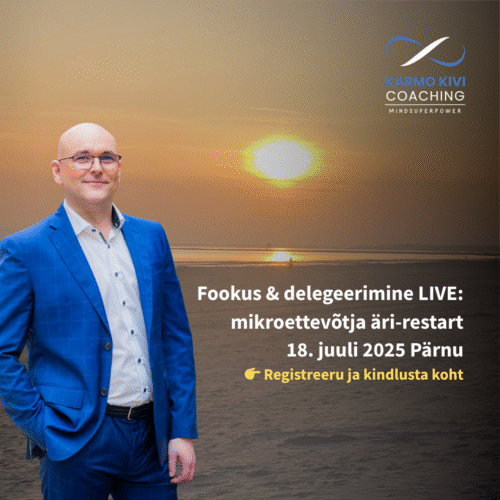 mikroettevõtja äri-restart